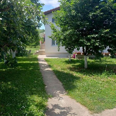 Apartman Flora Vrdnik Εξωτερικό φωτογραφία