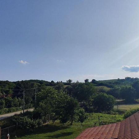 Apartman Flora Vrdnik Εξωτερικό φωτογραφία