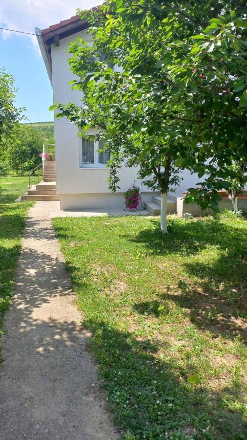 Apartman Flora Vrdnik Εξωτερικό φωτογραφία