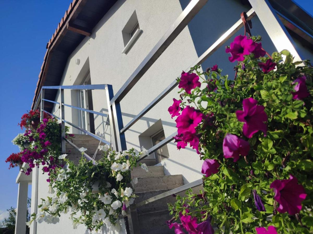 Apartman Flora Vrdnik Εξωτερικό φωτογραφία