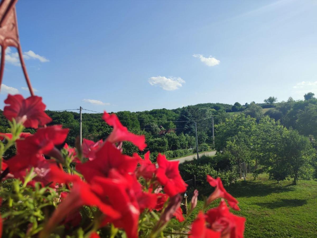 Apartman Flora Vrdnik Εξωτερικό φωτογραφία