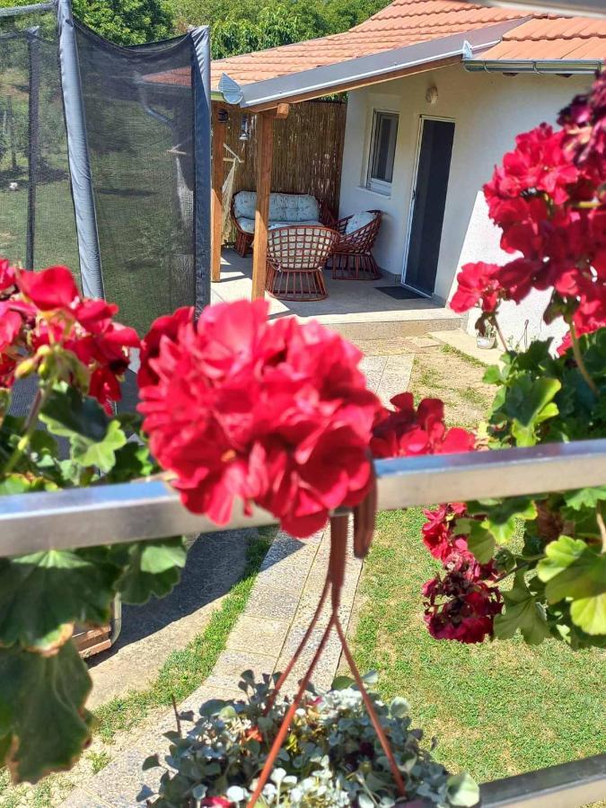 Apartman Flora Vrdnik Εξωτερικό φωτογραφία