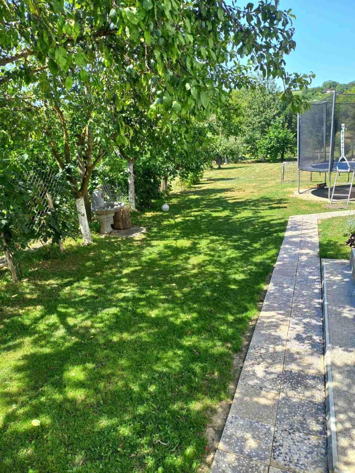 Apartman Flora Vrdnik Εξωτερικό φωτογραφία